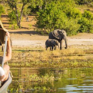 Maputo National Park