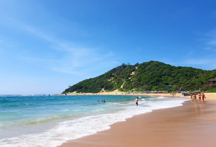 Sun, Sea & Safari Vibes – Gold Tip in a Day