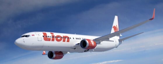 Plane Lion