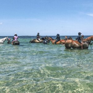 Coral Lodge Locals Special: Celebrate Mozambique Day in Vilankulos