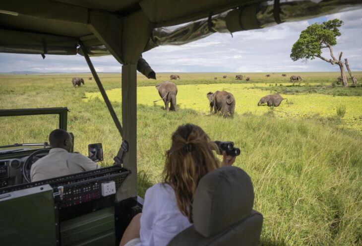 7-Day All-Inclusive Safari: Masai Mara – Zanzibar