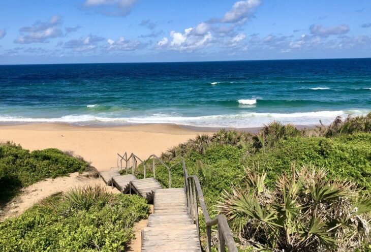 Explore Tofo Beach