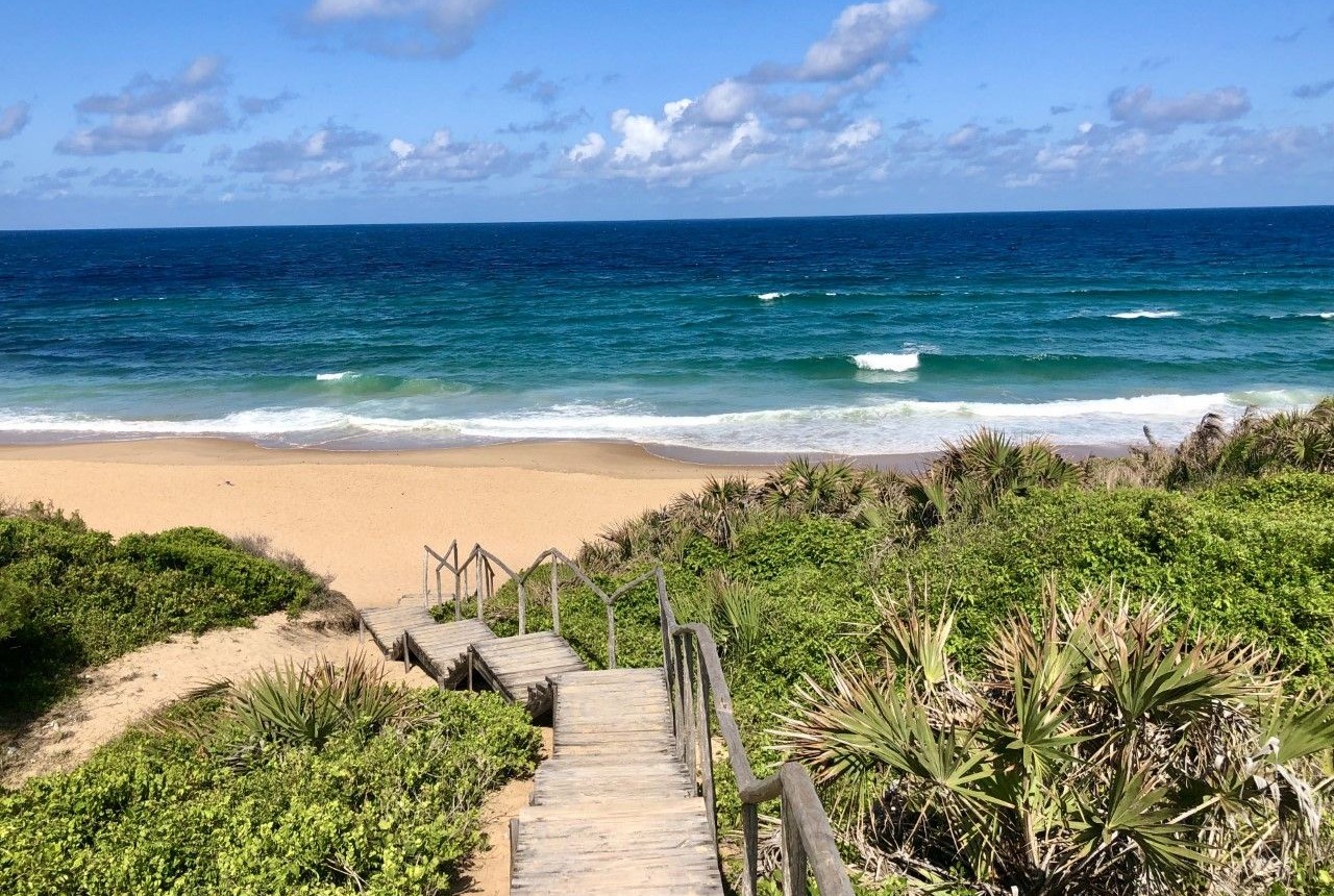 Explore Tofo Beach